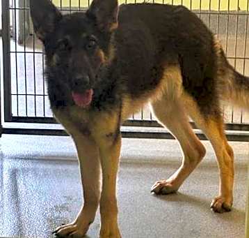 Photo of Windy
