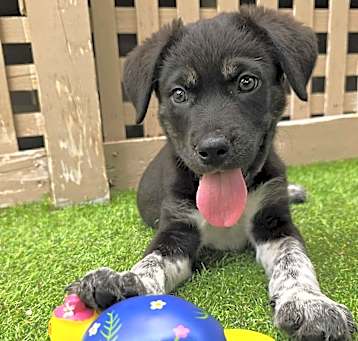 Photo of Bronx