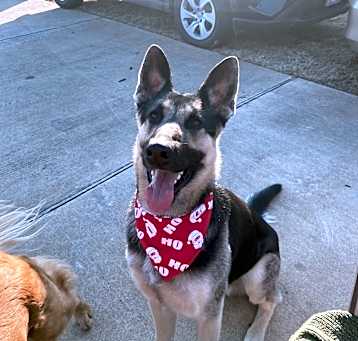 Photo of Arlo