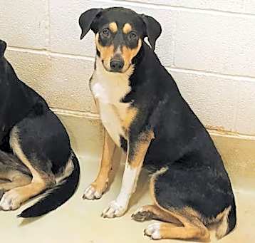 Photo of Hope K33 5/2/25