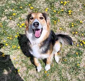 Photo of Roper