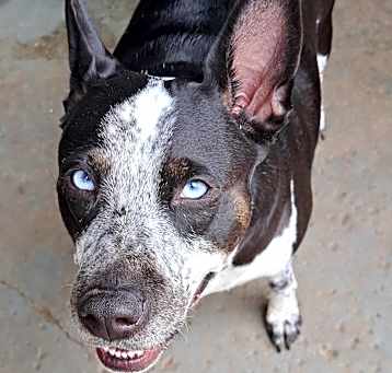 Photo of Octavia