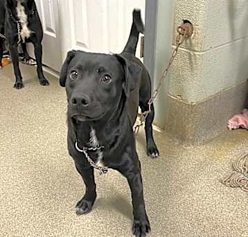 Photo of Clark/Lucky