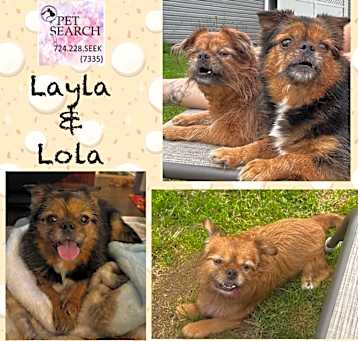 Photo of Lola