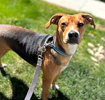 Photo of Roxy