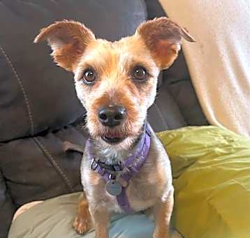 Photo of Junebug