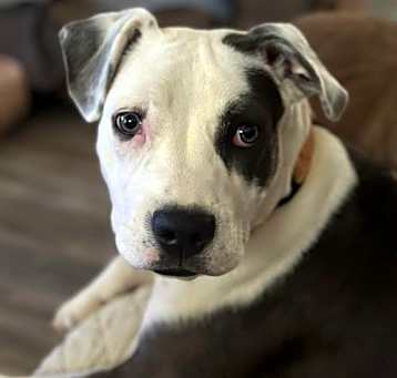 Photo of Savannah