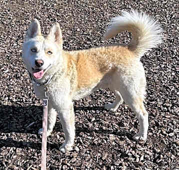 Photo of Bolt