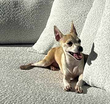 Photo of Max
