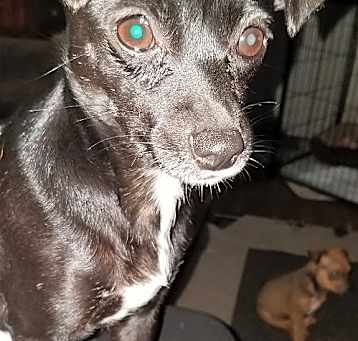 Photo of Kia