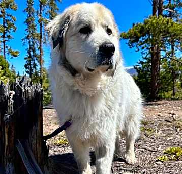 Photo of BEAU
