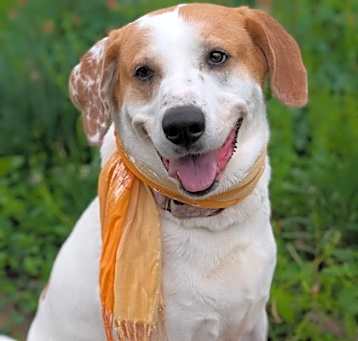 Photo of Betsy