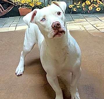Photo of Sugar