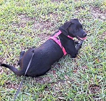 Photo of Varda