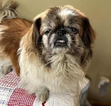 Photo of Patty Cake