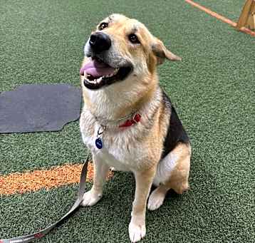 Photo of Reese