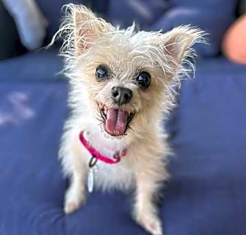 Photo of Daisy Mae