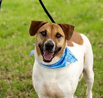 Photo of DUKE