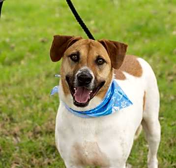 Photo of DUKE
