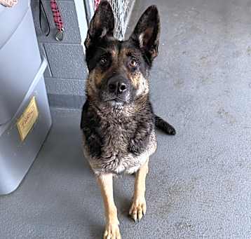 Photo of ROXY