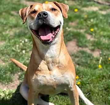 Photo of Ms. Penny