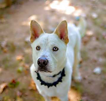Photo of Mayson