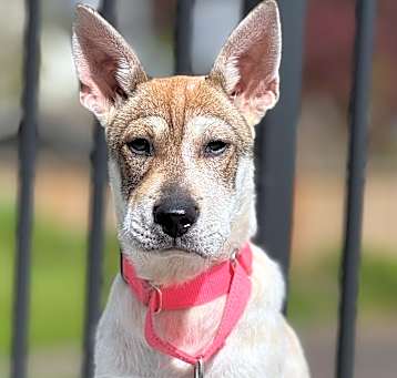 Photo of EMMIE