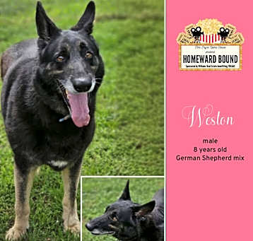 Photo of Wesson