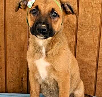 Photo of Zadee