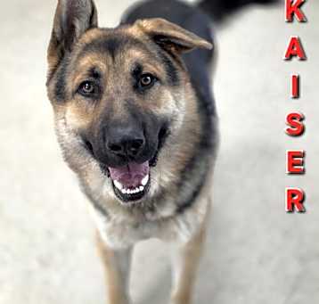 Photo of Kaiser