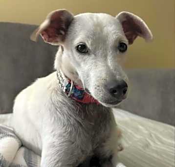 Photo of Lola