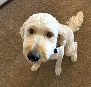 Photo of Oakley