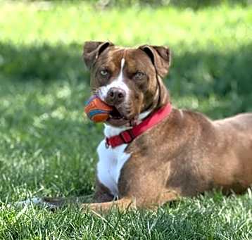 Photo of Lester
