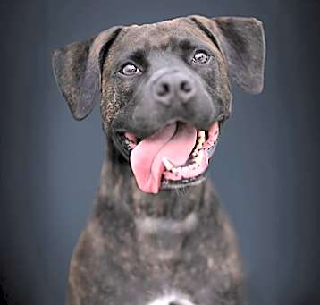 Photo of COOPER
