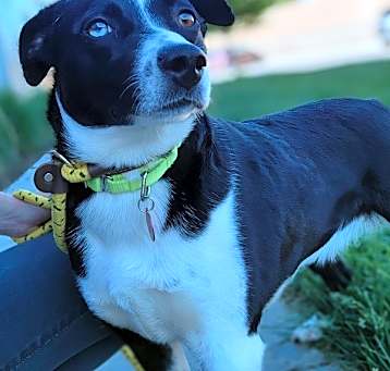 Photo of Evie