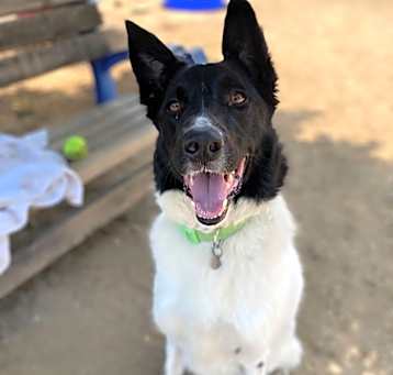 Photo of Hudson