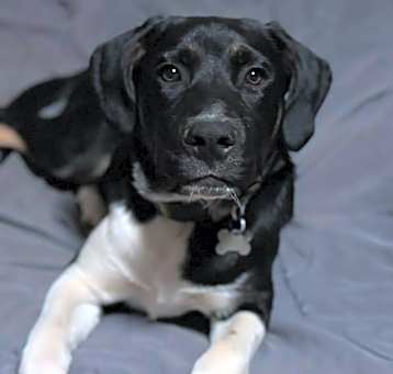 Photo of Owen