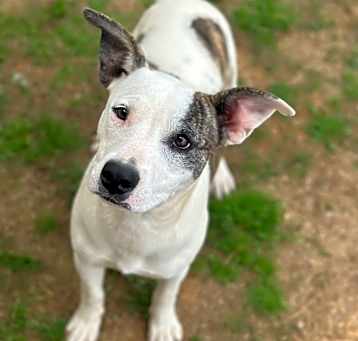 Photo of Adora