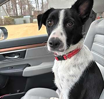 Photo of Charlie