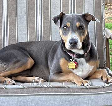 Photo of Stormy