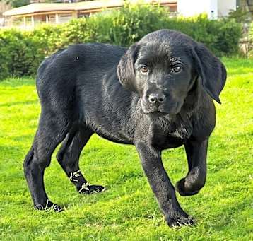 Photo of Coal