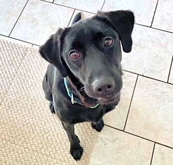 Photo of PENELOPE