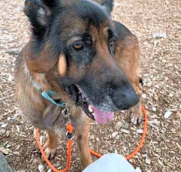 Photo of RAMBO