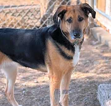 Photo of Kimber