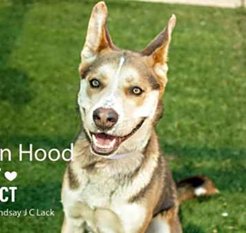 Photo of Robin Hood