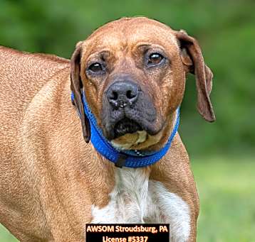 Photo of Maggie