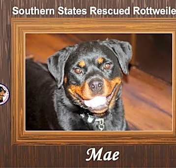 Photo of Mae
