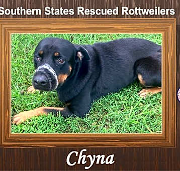 Photo of Chyna