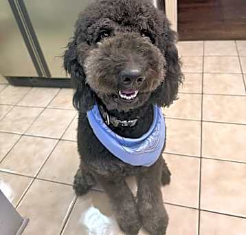 Photo of Charlie