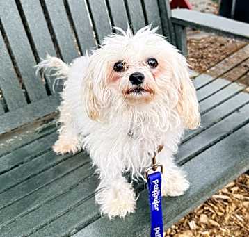 Photo of Lola